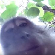 sup