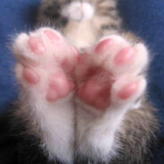 BabyBroBeans