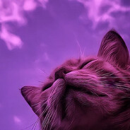 Косой котяра