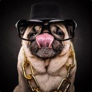 hallo