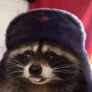 COMRADE_RACKOON
