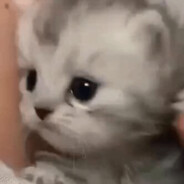 nYaaa