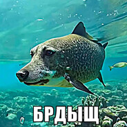 МАКАНТРАХЕР
