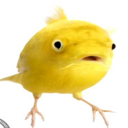 sic_kick