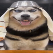 ๋