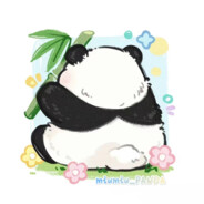 miumiu_PANDA