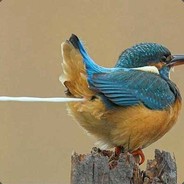 お Vogelbrei お