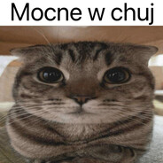 brodlej