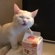 gabbububu