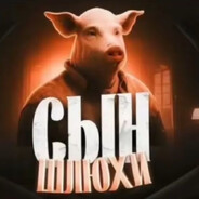 Pig_benis