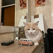 Peep١٤٧🐣 avatar