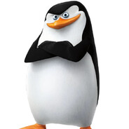 Skipper