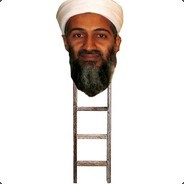 Osama Bin Ladder