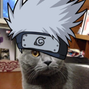 saske