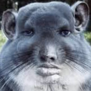chadchilla