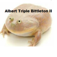 Albert Triple Bittleton II