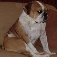 Buster