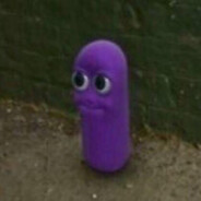 llama