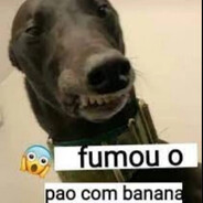 com viena hair