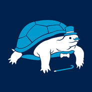 FancyTurtle