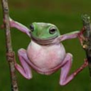 Steam Community Avatar