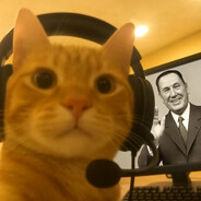 Gatito Peronista