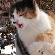 munhwa