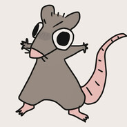Rat