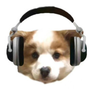 54188
