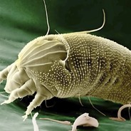 PARASITO