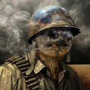 La Carapace
