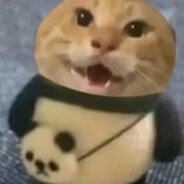圆头耄耋