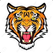 Tigr3t0n