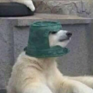 Brasileiro