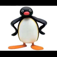 Noot noot