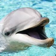 SAVAGE Dolphin