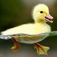 quackstine