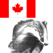 Canadian Badger