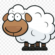 sheepbeep