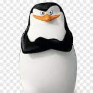 Capitão.png