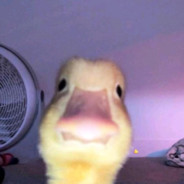 gllsllaa1