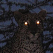 Jaguar™