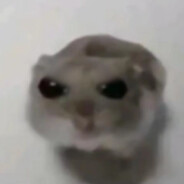 hamster enojao
