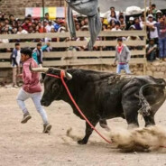 PASION TAURINA