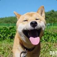 <font face="ravie">BING