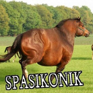 Spasikonik