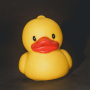 MarkusDuck