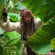 Jack Sparrow