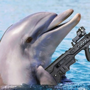 JVIDolphinFreak
