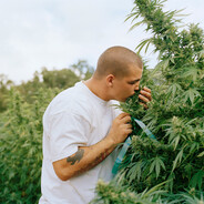 Лунный день